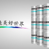 北新防水非沥青基高分子自粘胶膜防水卷材