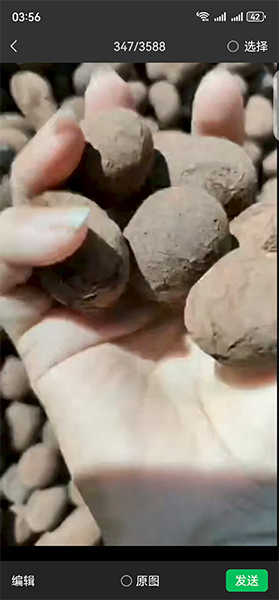 微信图片_2025-08-09_083644_739