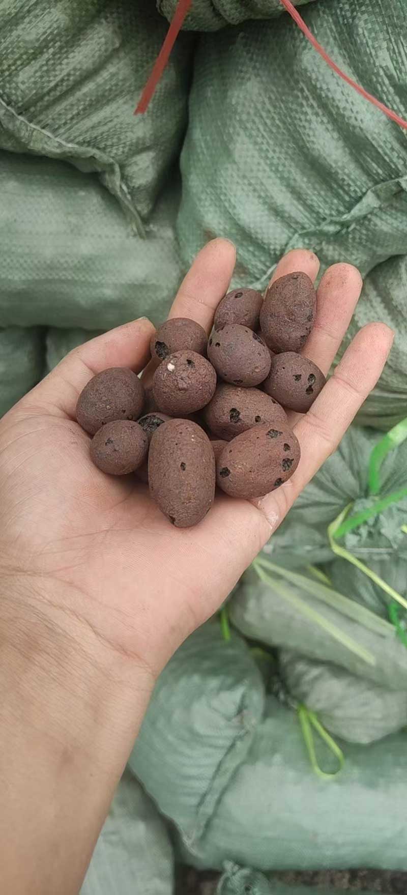 微信图片_20250919213743