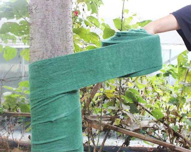 微信图片_20250919213851