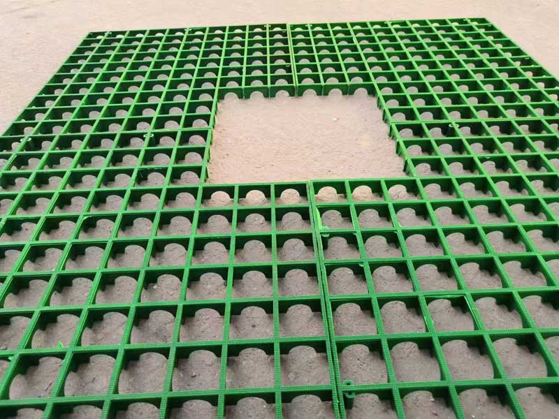 微信图片_20250919214253