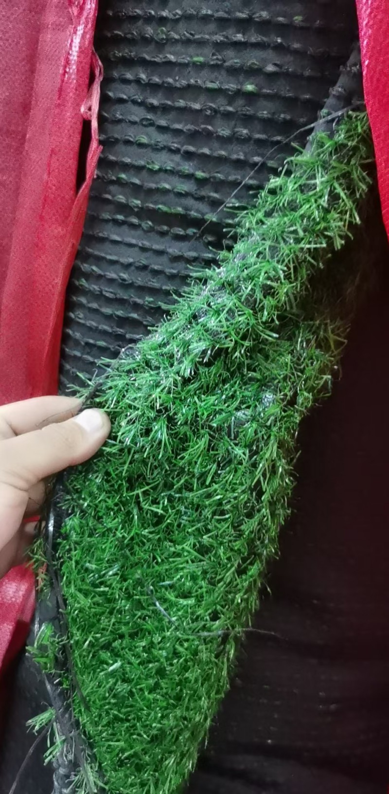 微信图片_20250919221535