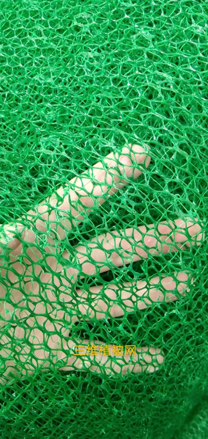 微信图片_20250919222702