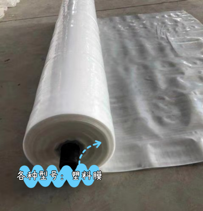 微信图片_2026-03-07_213449_976