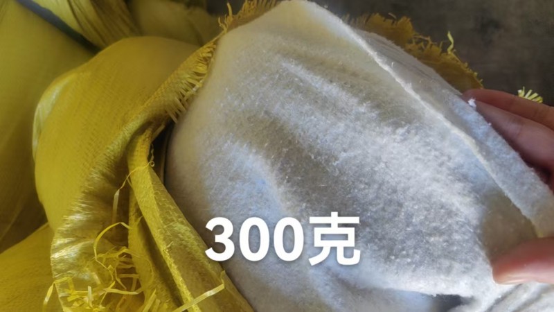 微信图片_2026-09-12_143939_484